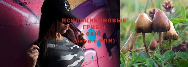 мяу мяу мука Алексеевка