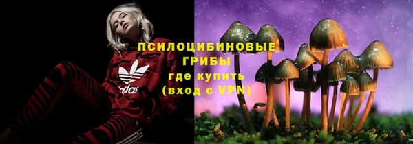 мяу мяу кристалл Алексин