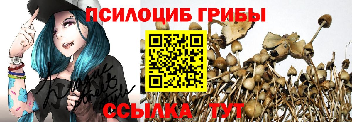 Псилоцибиновые грибы Psilocybine cubensis  Вход с VPN  Галлюциногенные грибы мухоморы  Мегион 
